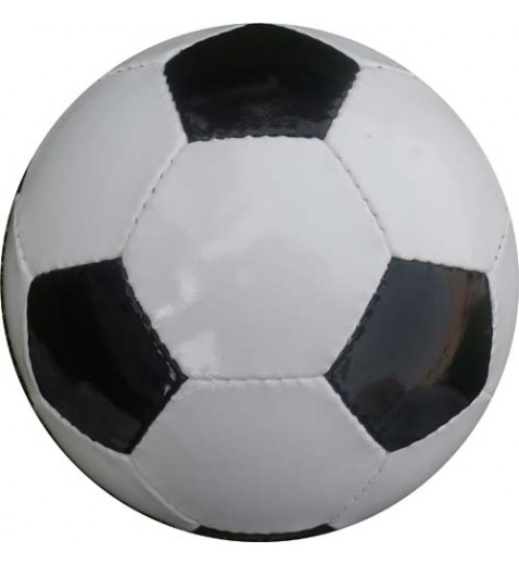 Trainer Soccer Ball