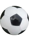 Trainer Soccer Ball