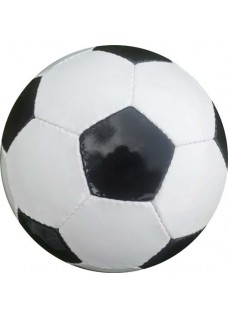 Trainer Soccer Ball